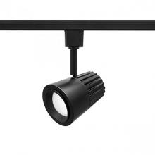 Directional Wall Lights